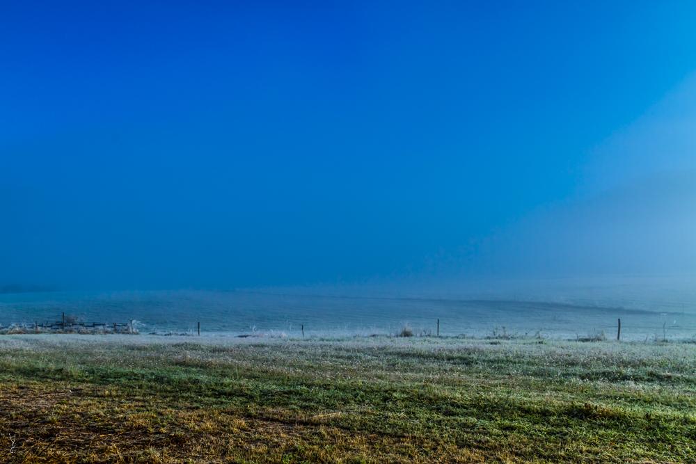 PRAIRIE